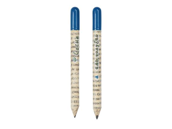 Набор «Растущий карандаш» mini, 2 шт. с семенами голубой ели и сосны