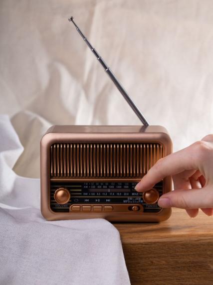 Bluetooth-колонка с радио Beatnik, коричневая